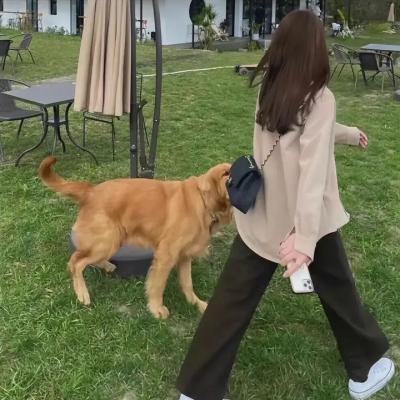 大猿魂特别篇海报