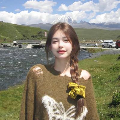 儍瓜艳史海报