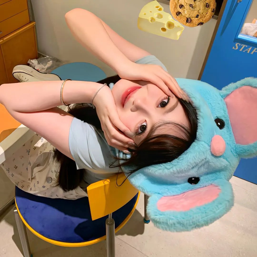 聪明的驴子海报
